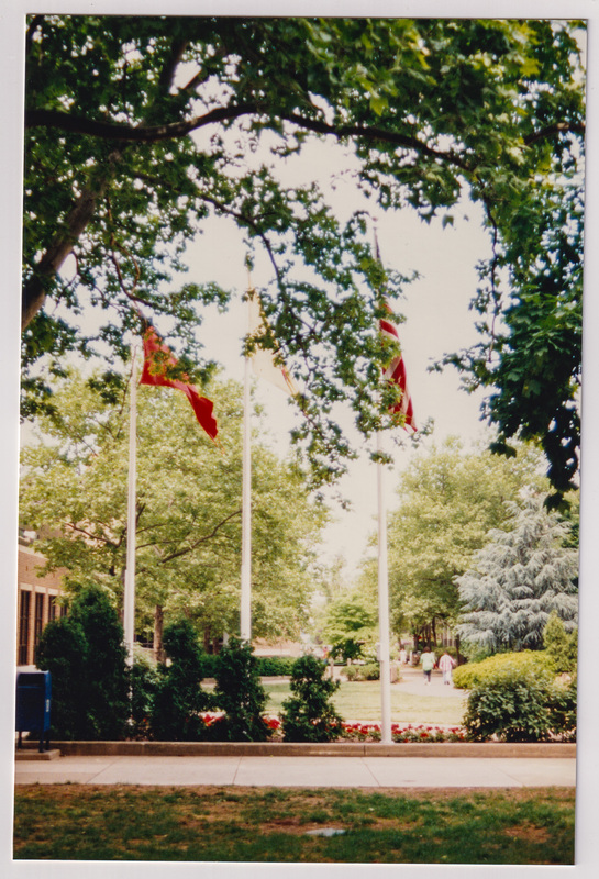 Flags Number 4