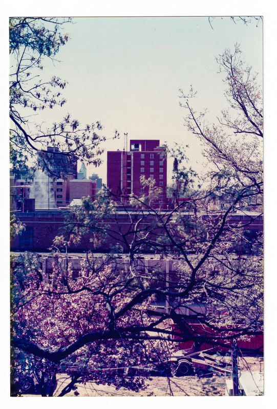 Camden Tower