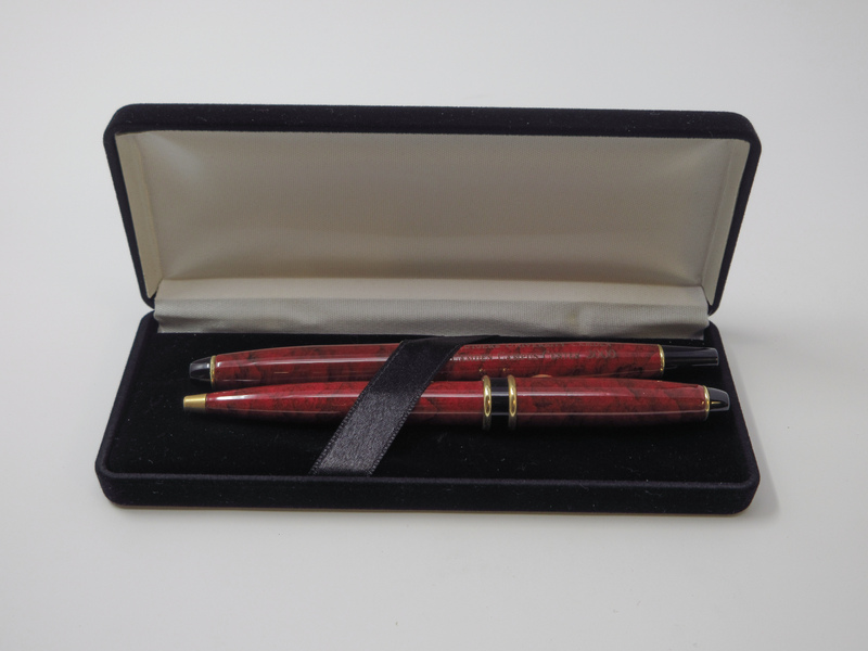 Pen in a Black Case