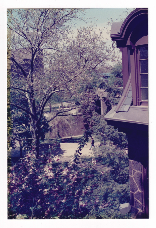 From the Admissions Building, Looking into the Courtyard