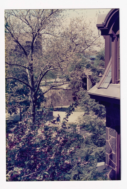 From the Admissions Building, Looking into the Courtyard, 2 Inches to the Left